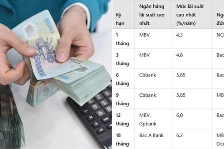 Lãi suất tiết kiệm tháng 1/2025: Ngân hàng nào cao nhất?