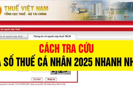 Cách tra cứu mã số thuế cá nhân online nhanh nhất 2025