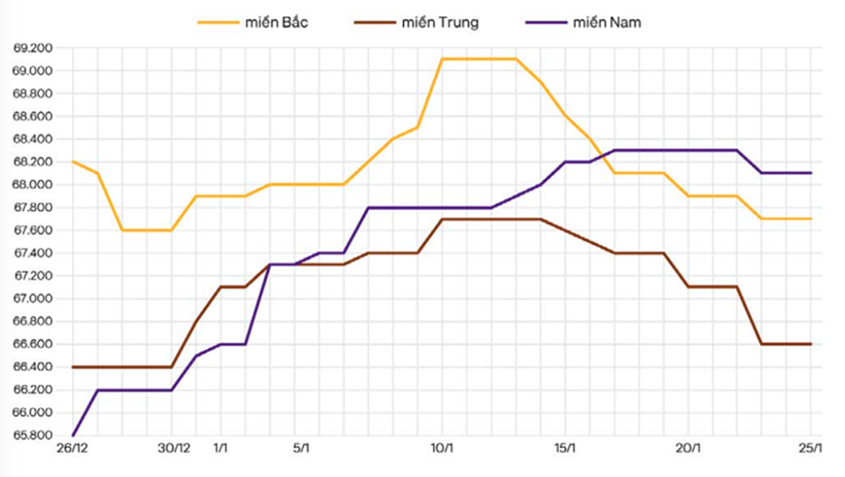 Biến động giá heo hơi ba miền trong tháng 1/2025