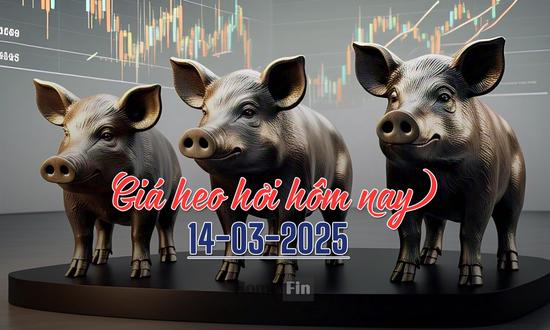 Cập nhật giá heo hơi hôm nay 14/3/2025 ở ba miền mới nhất
