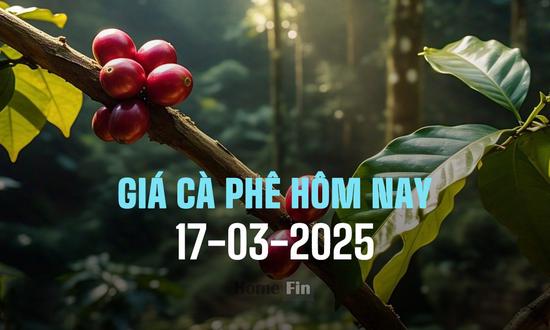 Giá cà phê trong nước và thế giới mới nhất ngày 17/3/2025