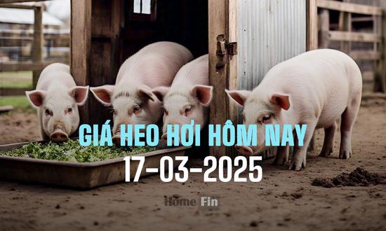 Cập nhật giá heo hơi hôm nay 17/3/2025 ở ba miền mới nhất