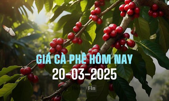 Giá cafe trong nước và thế giới mới nhất ngày 20/3/2025