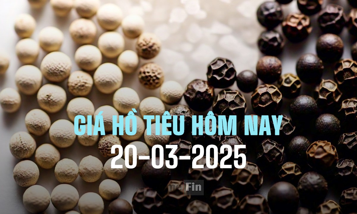 Cập nhật giá tiêu trong nước và thế giới mới nhất ngày 20/3/2025