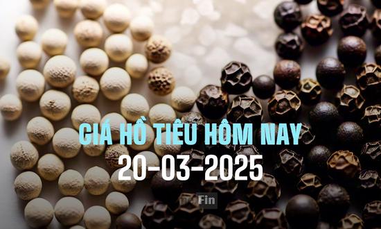 Cập nhật giá tiêu trong nước và thế giới mới nhất ngày 20/3/2025