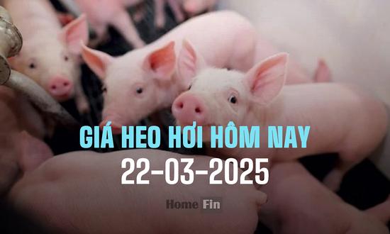 Cập nhật giá heo hơi ba miền hôm nay 22/3/2025 mới nhất
