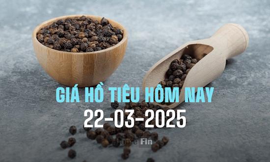 Cập nhật giá hồ tiêu trong nước và thế giới hôm nay 22/3/2025