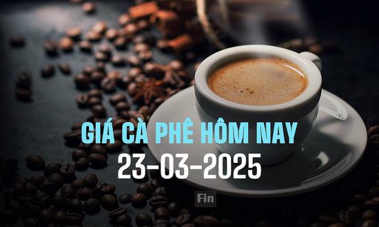 Giá cà phê trong nước và thế giới hôm nay 23/3/2025 mới nhất