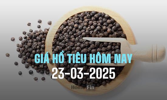 Cập nhật giá tiêu hôm nay 23/3/2025 trong nước và thế giới mới nhất