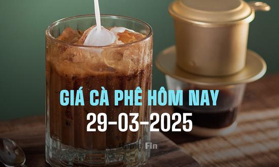 Giá cà phê hôm nay 29/3/2025 ở trong nước và thế giới mới nhất