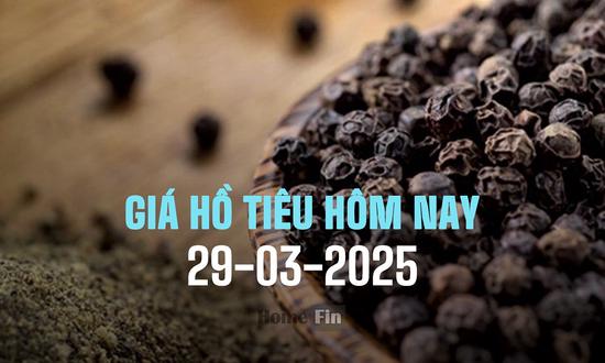Cập nhật giá tiêu hôm nay 29/3/2025 ở trong nước và thế giới mới nhất