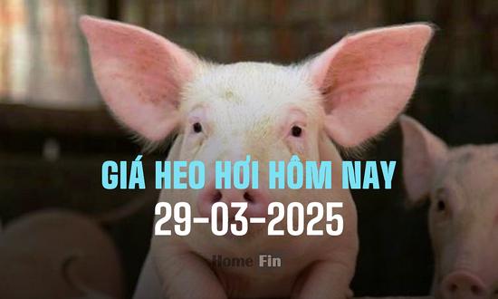 Cập nhật giá heo hơi ba miền hôm nay 29/3/2025 mới nhất