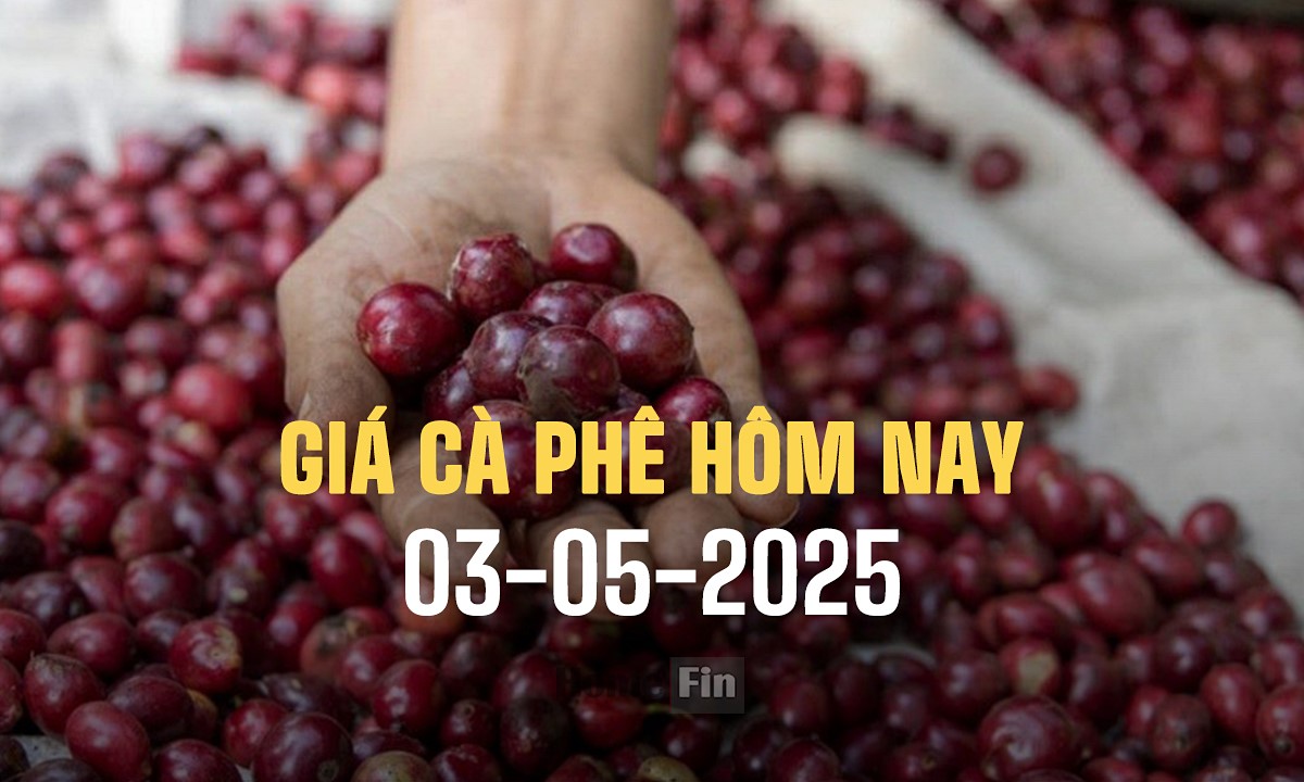 Giá cà phê hôm nay 3/5/2025 ở trong nước và thế giới mới nhất