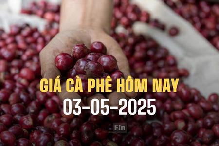 Giá cà phê hôm nay 3/5/2025: Trong nước tăng mạnh