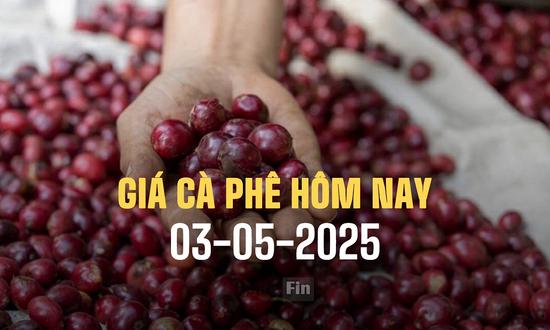 Giá cà phê hôm nay 3/5/2025 ở trong nước và thế giới mới nhất