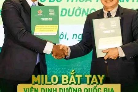Câu chuyện quảng cáo không đúng sự thật của Milo là vô cùng nghiêm trọng