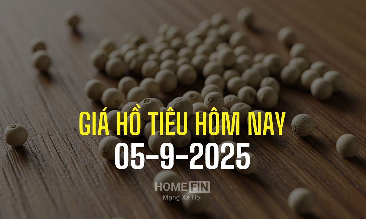 Cập nhật giá tiêu hôm nay 5/9/2025 ở trong nước và thế giới mới nhất