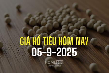 Giá tiêu hôm nay 5/9/2025: Thế giới biến động nhẹ