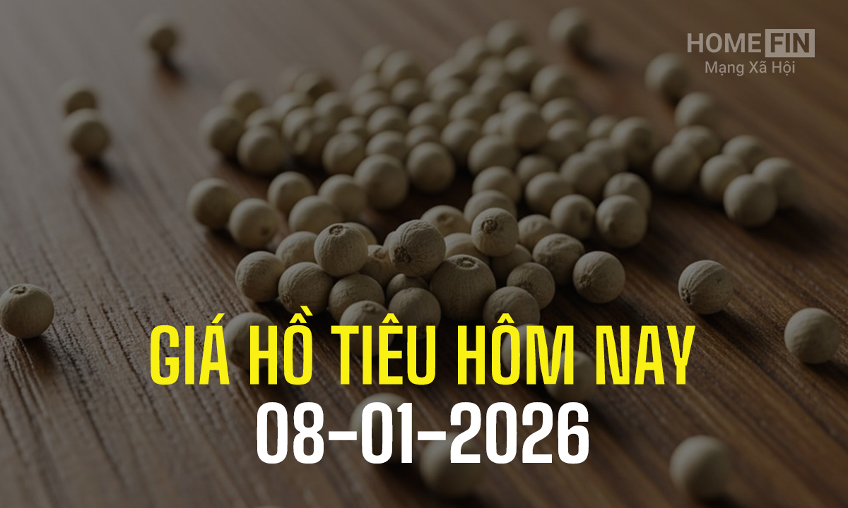 Giá hồ tiêu hôm nay 8/1/2026 ở trong nước và thế giới mới nhất