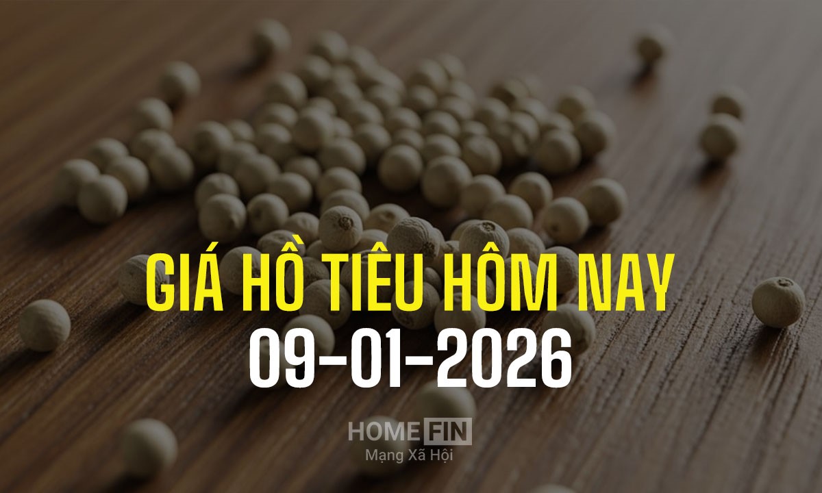 Giá tiêu hôm nay 9/1/2026 ở trong nước và thế giới mới nhất