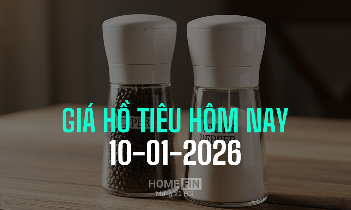 Giá tiêu hôm nay 10/1/2026 ở trong nước và thế giới mới nhất