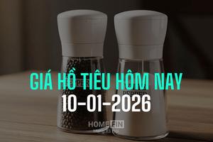 Giá tiêu hôm nay 10/1/2026: Thế giới có xu hướng giảm nhẹ
