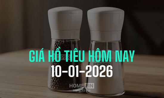 Giá tiêu hôm nay 10/1/2026 ở trong nước và thế giới mới nhất