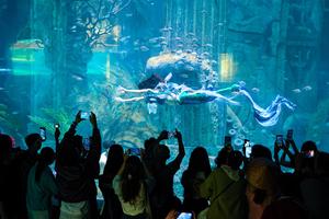 Hòn Tre bùng nổ mùa Tết với bộ ba siêu phẩm giải trí chưa từng có