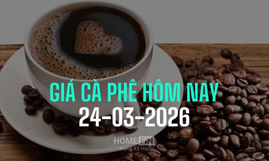 Giá cà phê hôm nay 24/3/2026 ở trong nước và thế giới mới nhất