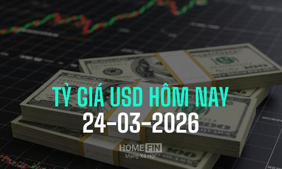 Tỷ giá USD hôm nay 24/3/2025 ở trong nước và thế giới mới nhất