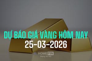 Giá vàng hôm nay 25/3/2026 dự báo tăng hay giảm?