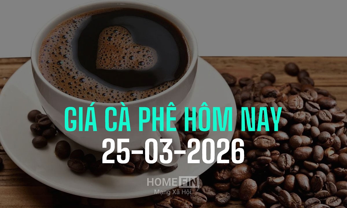 Giá cà phê hôm nay 25/3/2026 ở trong nước và thế giới mới nhất