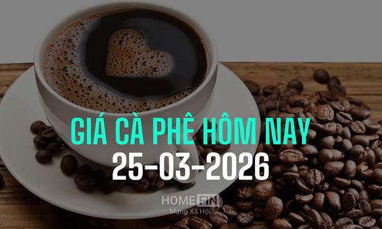 Giá cà phê hôm nay 25/3/2026 ở trong nước và thế giới mới nhất