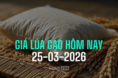 Giá lúa gạo hôm nay 25/3/2026: Giao dịch chậm, giá ở mức thấp
