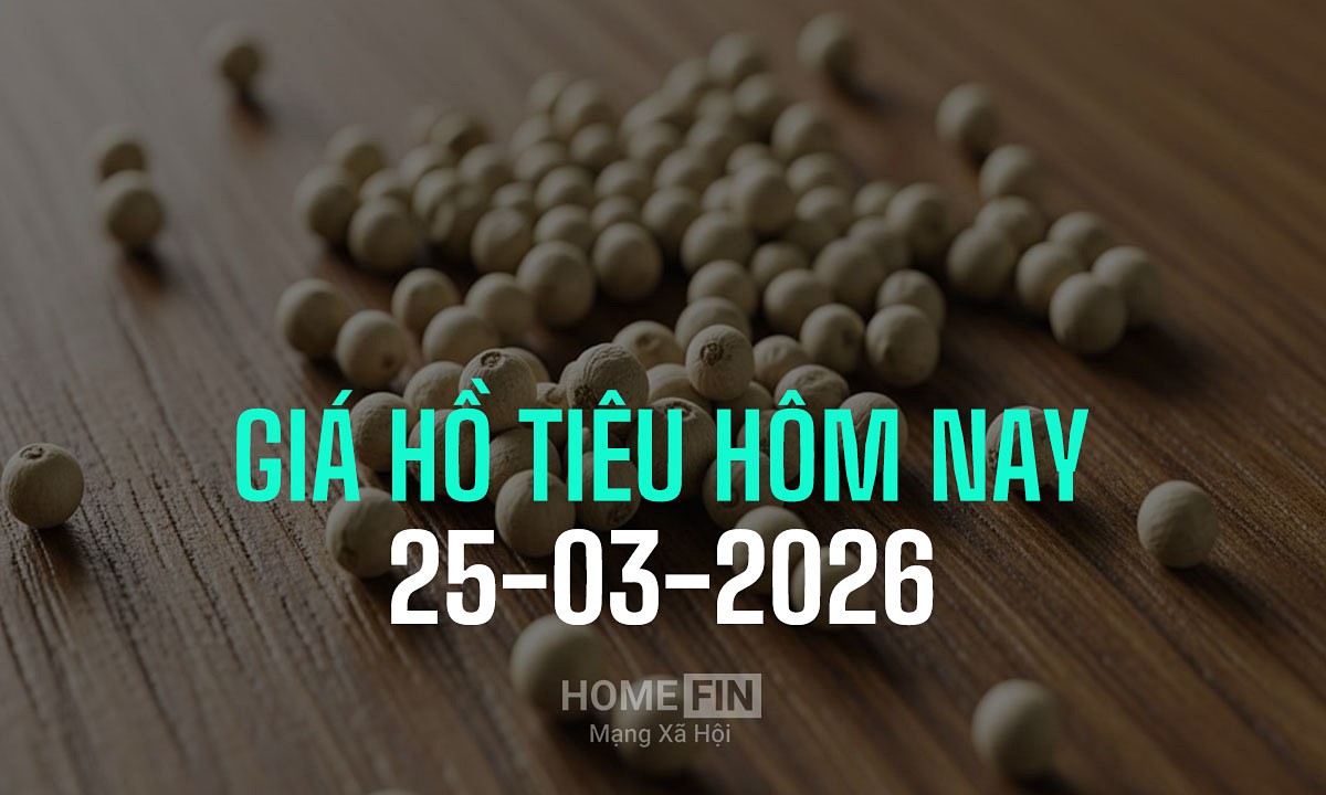 Giá tiêu hôm nay 25/3/2026 ở trong nước và thế giới mới nhất 