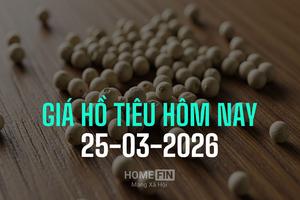 Giá tiêu hôm nay 25/3/2026: Trong nước tăng mạnh tới 3.000 đồng