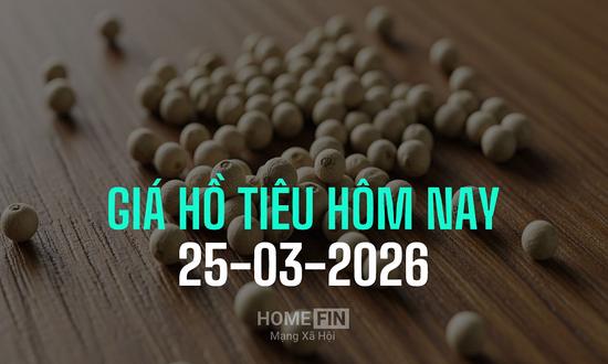 Giá tiêu hôm nay 25/3/2026 ở trong nước và thế giới mới nhất