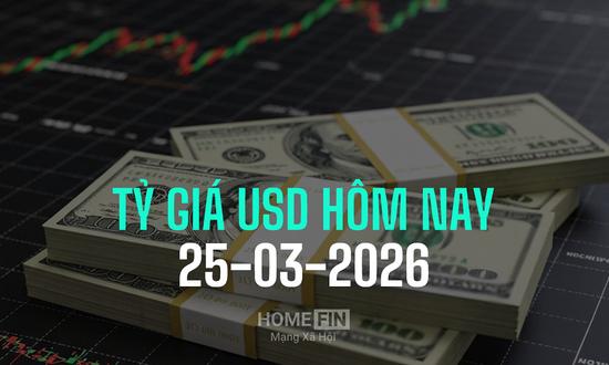 Tỷ giá USD hôm nay 25/3/2025 ở trong nước và thế giới mới nhất