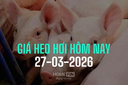 Giá heo hơi hôm nay 27/3/2026: Giảm 1.000 đồng, có nơi về mốc 63.000 đ/kg
