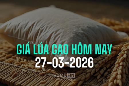 Giá lúa gạo hôm nay 27/3/2026: Vài mặt hàng lúa tươi giảm giá nhẹ