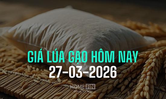Cập nhật giá lúa gạo hôm nay 27/3/2026 mới nhất