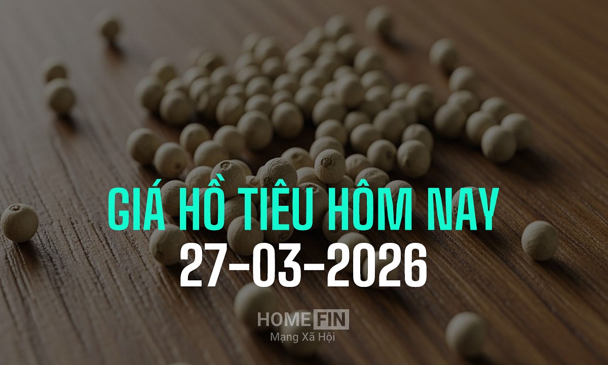 Giá tiêu hôm nay 27/3/2026 ở trong nước và thế giới mới nhất 