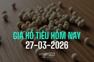 Giá tiêu hôm nay 27/3/2026: Vẫn neo quanh mức 137.000 - 139.000 đ/kg
