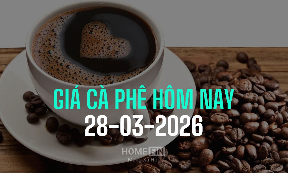 Giá cà phê hôm nay 28/3/2026 ở trong nước và thế giới mới nhất