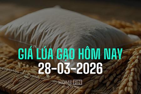 Giá lúa gạo hôm nay 28/3/2026: Lúa tươi tăng nhẹ 100 - 200 đồng