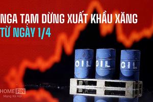 Xuất khẩu xăng của Nga bị siết chặt từ 1/4: Thị trường năng lượng toàn cầu trước nguy cơ biến động mạnh
