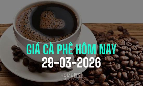 Cập nhật giá cà phê hôm nay 30/3/2026 ở trong nước và thế giới mới nhất