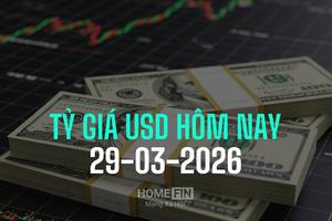 Tỷ giá USD hôm nay 29/3/2025: Giữ quanh mức 26.355 VND/USD
