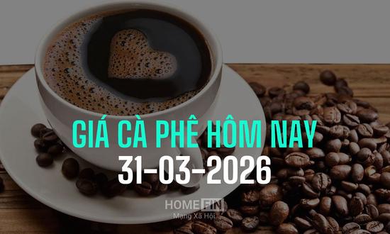 Giá cà phê hôm nay 31/3/2026 ở trong nước và thế giới mới nhất