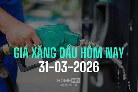 Giá xăng dầu hôm nay 31/3/2026: Dầu biến động nhẹ, trên mốc 103 USD/thùng